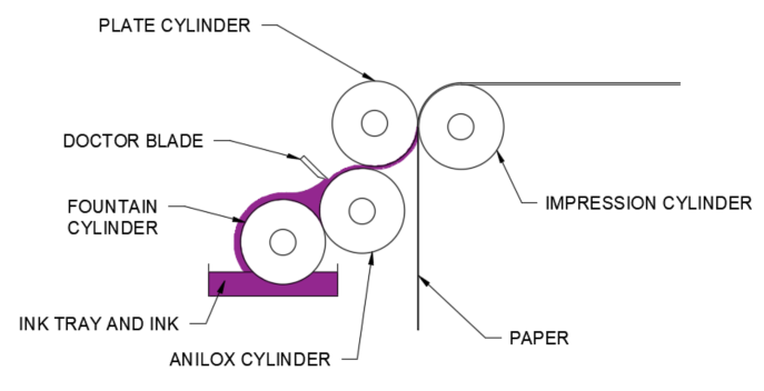 Diagram of shape dimensions